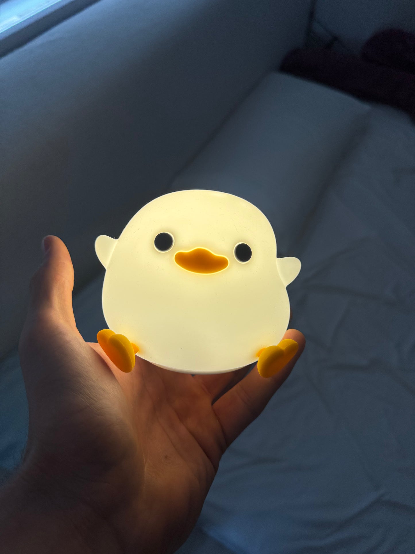 Mochi Duckie