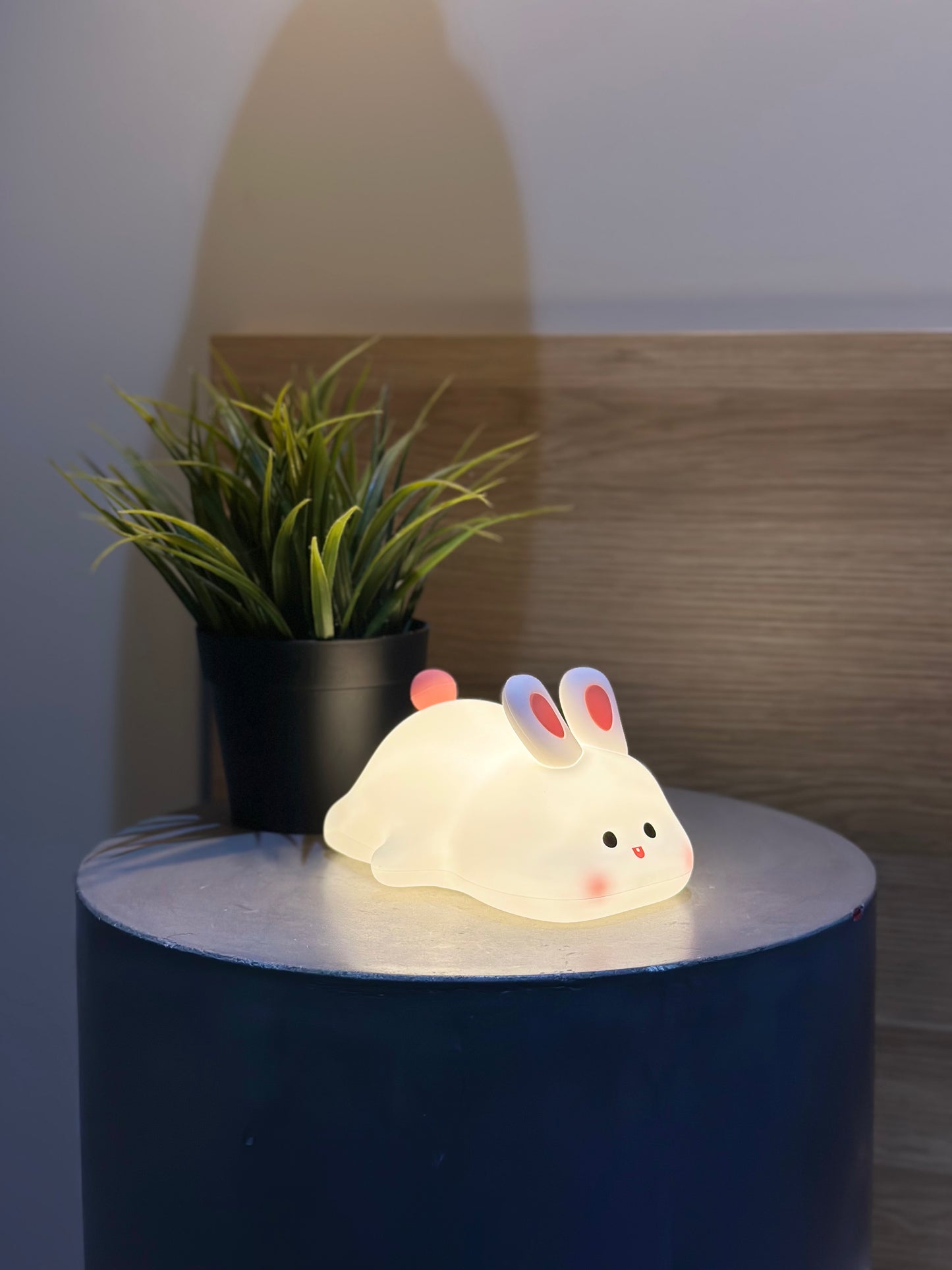 Mochi Bunny
