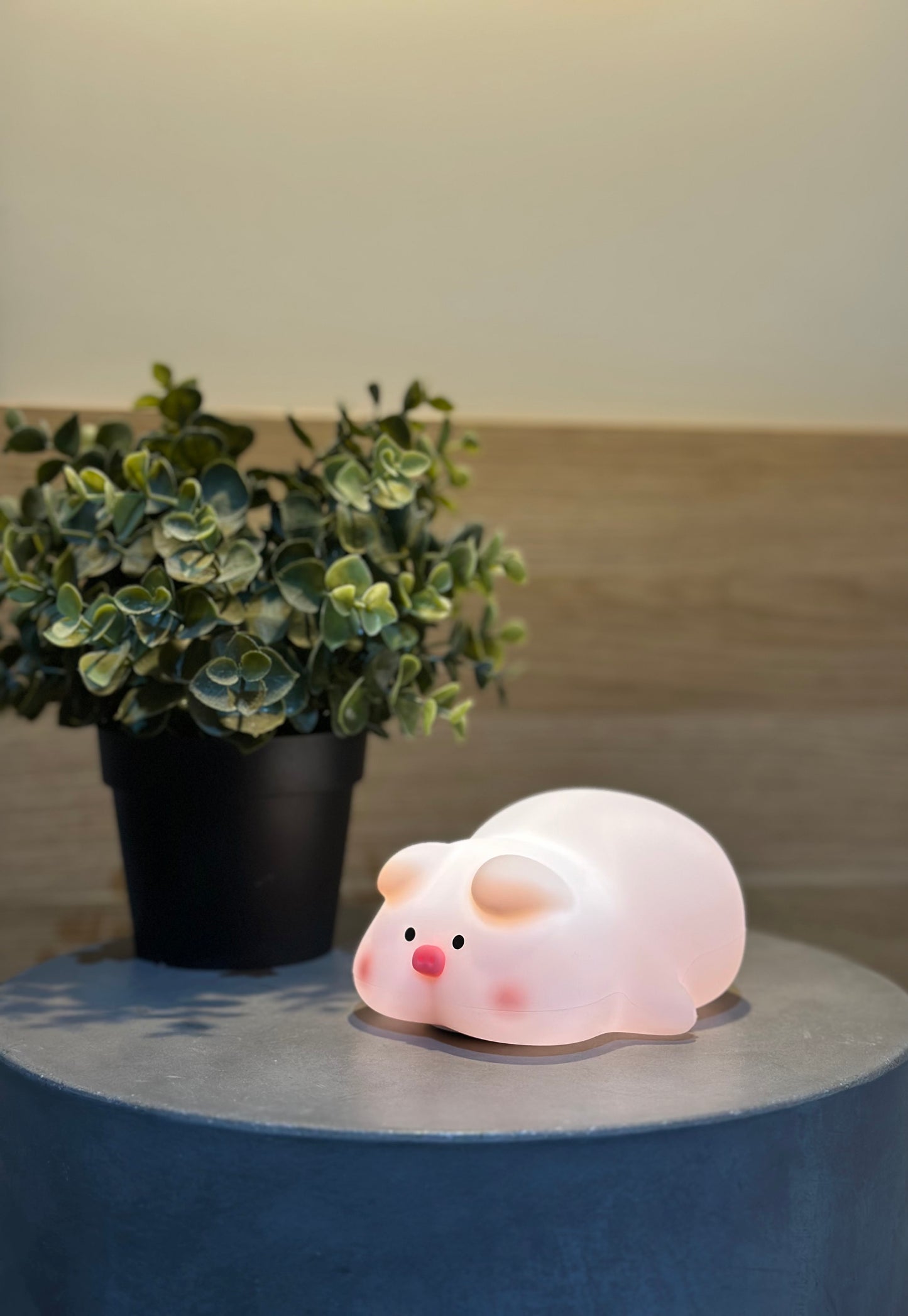 Mochi Piggie